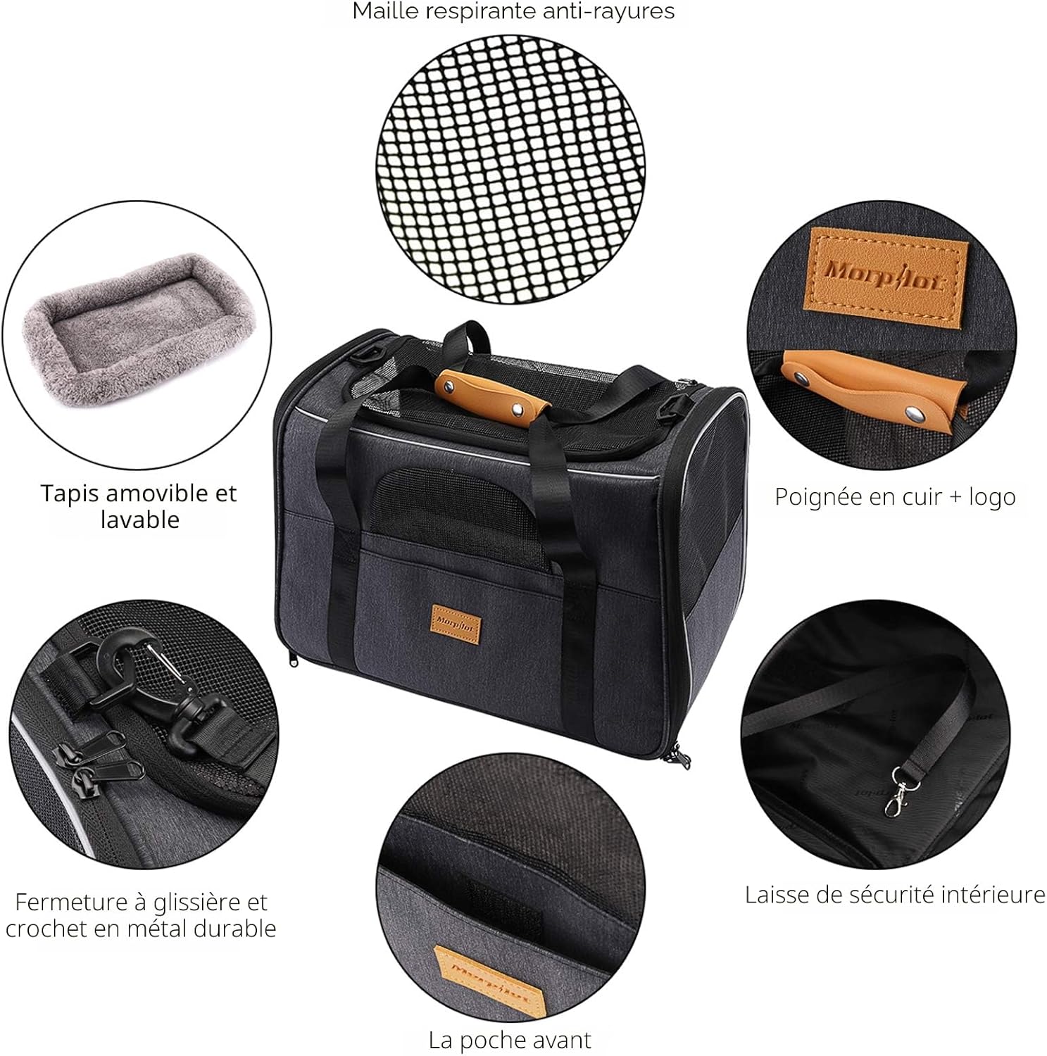 Sac de transport pour Cats & Dogs